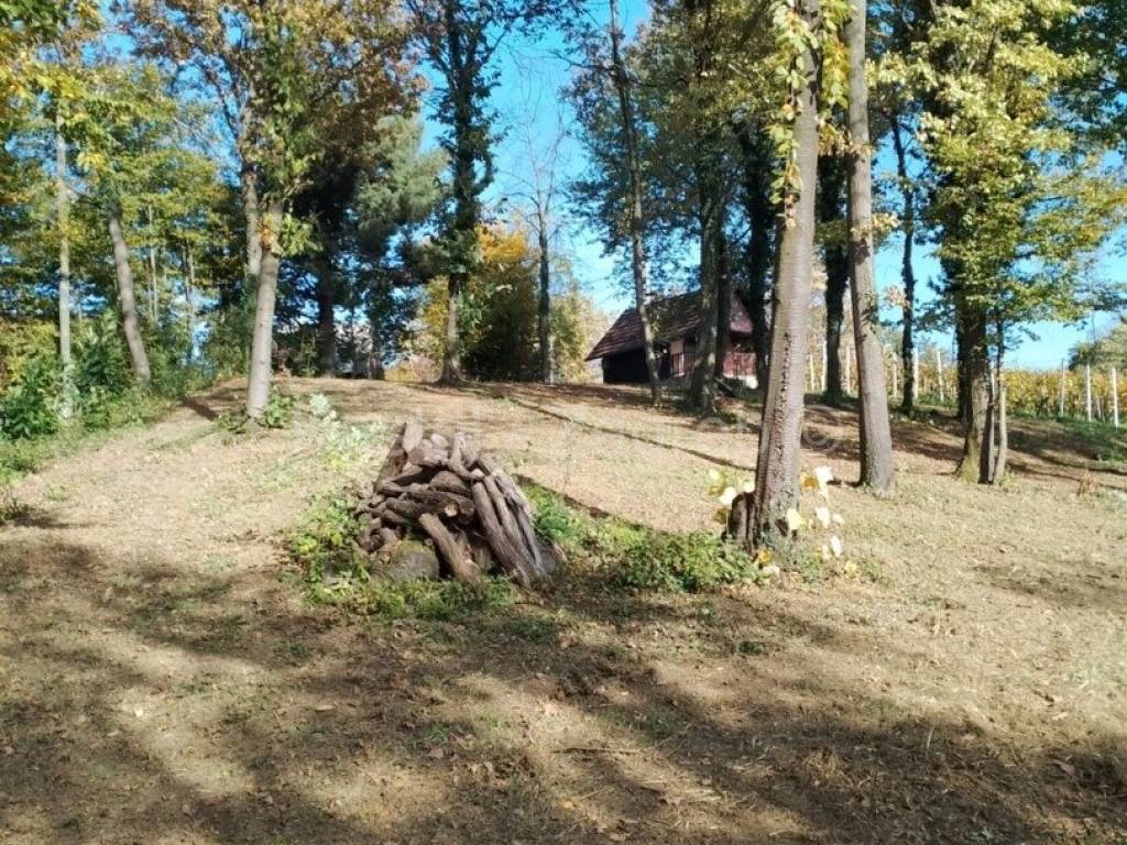 Donja Stubica, Donja Stubica