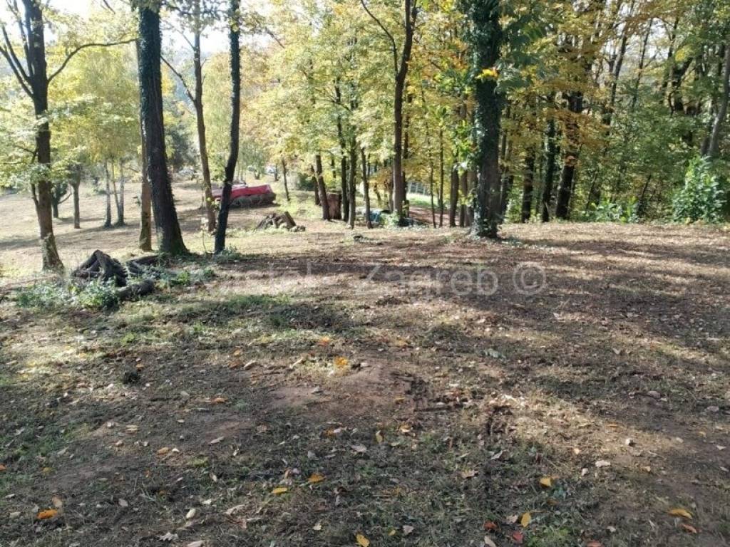 Donja Stubica, Donja Stubica