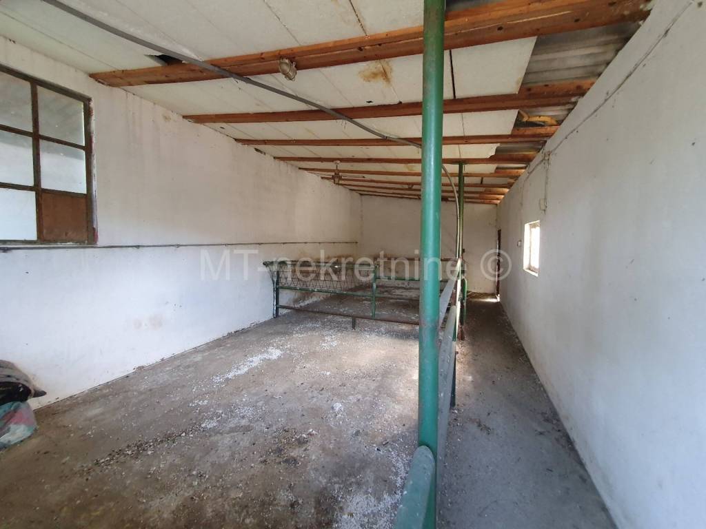 Veliki Grdjevac, Veliki Grdjevac