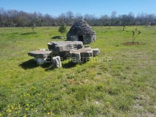 Agricultural plot, Sale, Vodnjan, Vodnjan