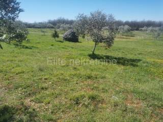 Agricultural plot, Sale, Vodnjan, Vodnjan