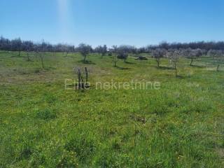 Poljoprivredno zemljište, Prodaja, Vodnjan, Vodnjan