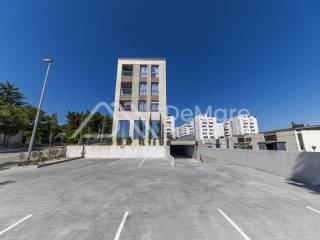 Zadar, Zadar