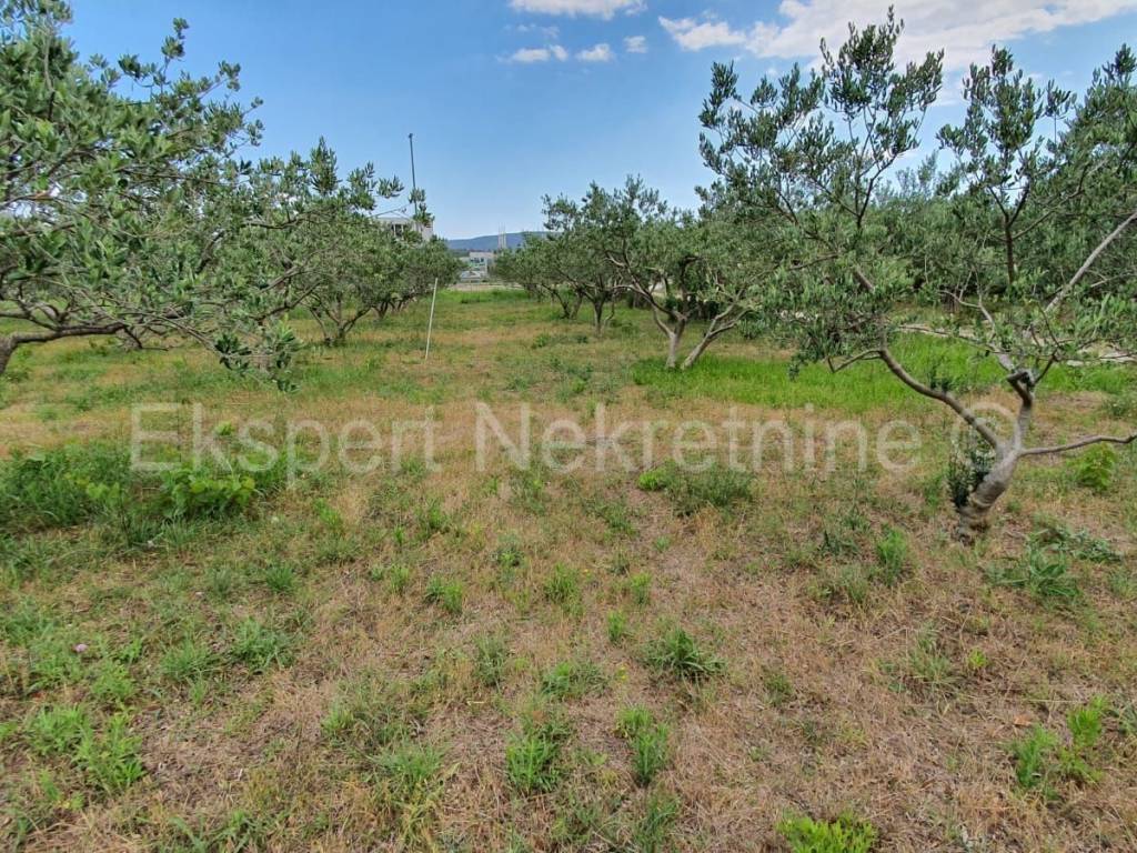 Poljoprivredno zemljiste, Prodaja, Kastela, Kastel Stafilic
