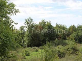 Plot for construction, Sale, Žminj, Žminj