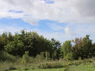 Plot for construction, Sale, Žminj, Žminj