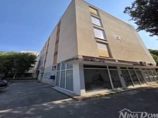 Zadar, Zadar