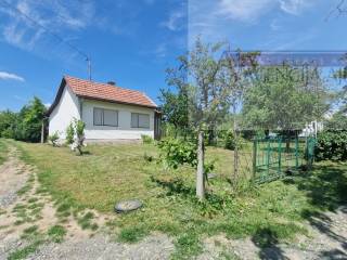 Draz, Batina