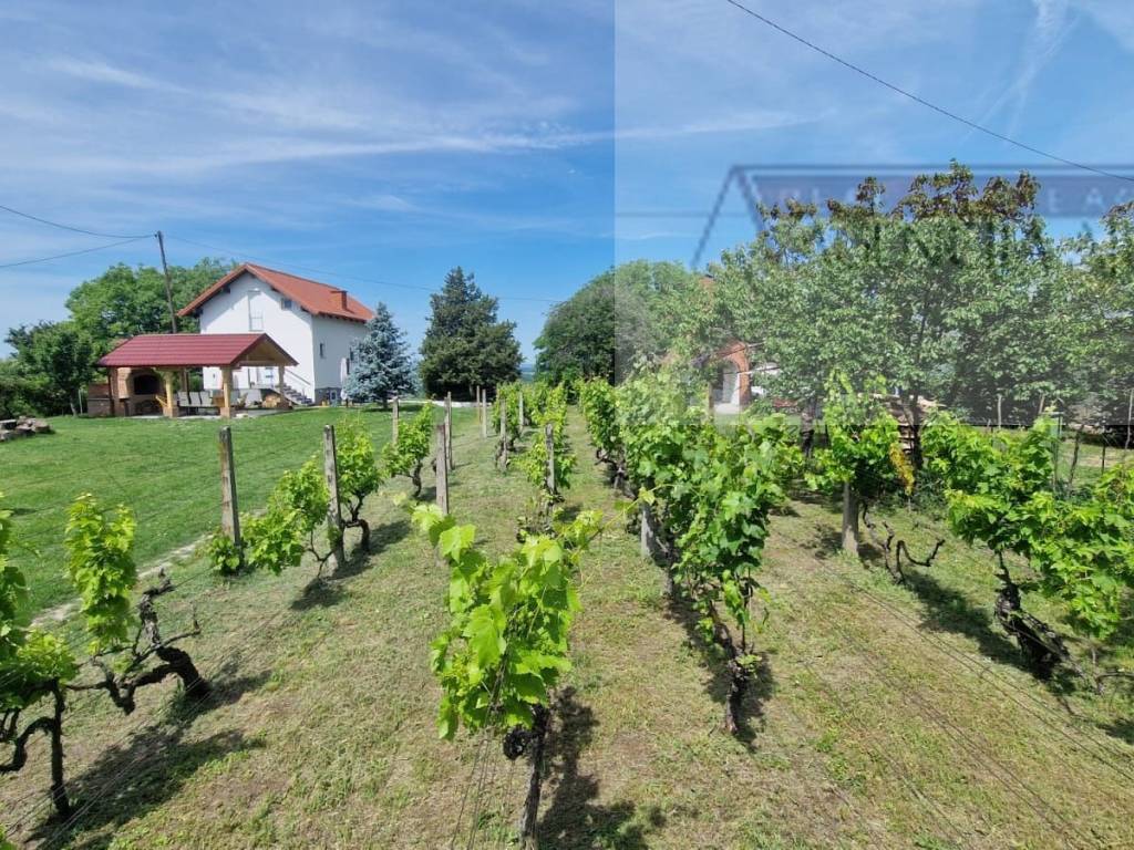 Draz, Batina