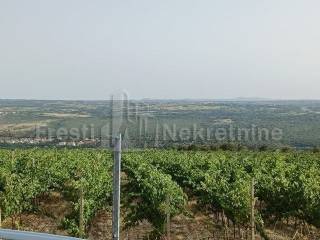 Agricultural plot, Sale, Posedarje, Posedarje