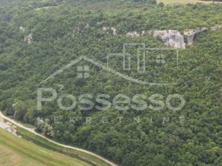 Buzet, Buzet