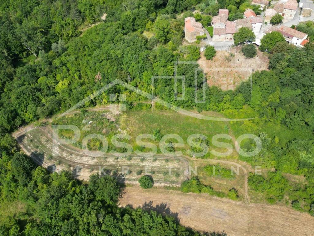 Buzet, Vrh