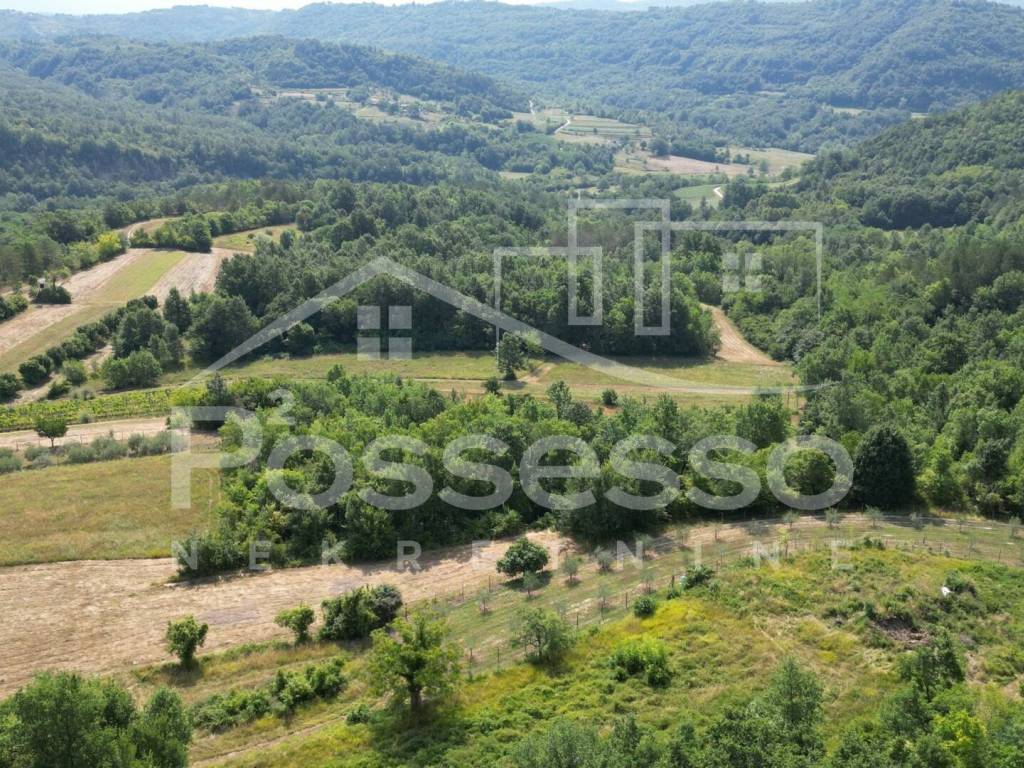 Buzet, Vrh