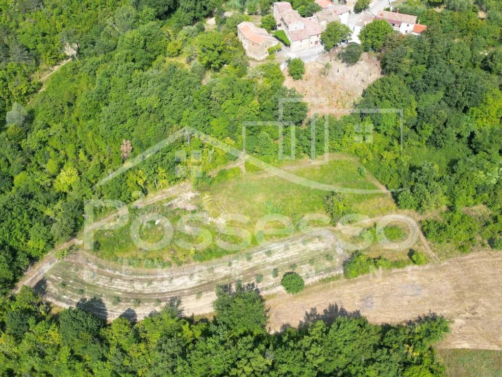 Buzet, Vrh