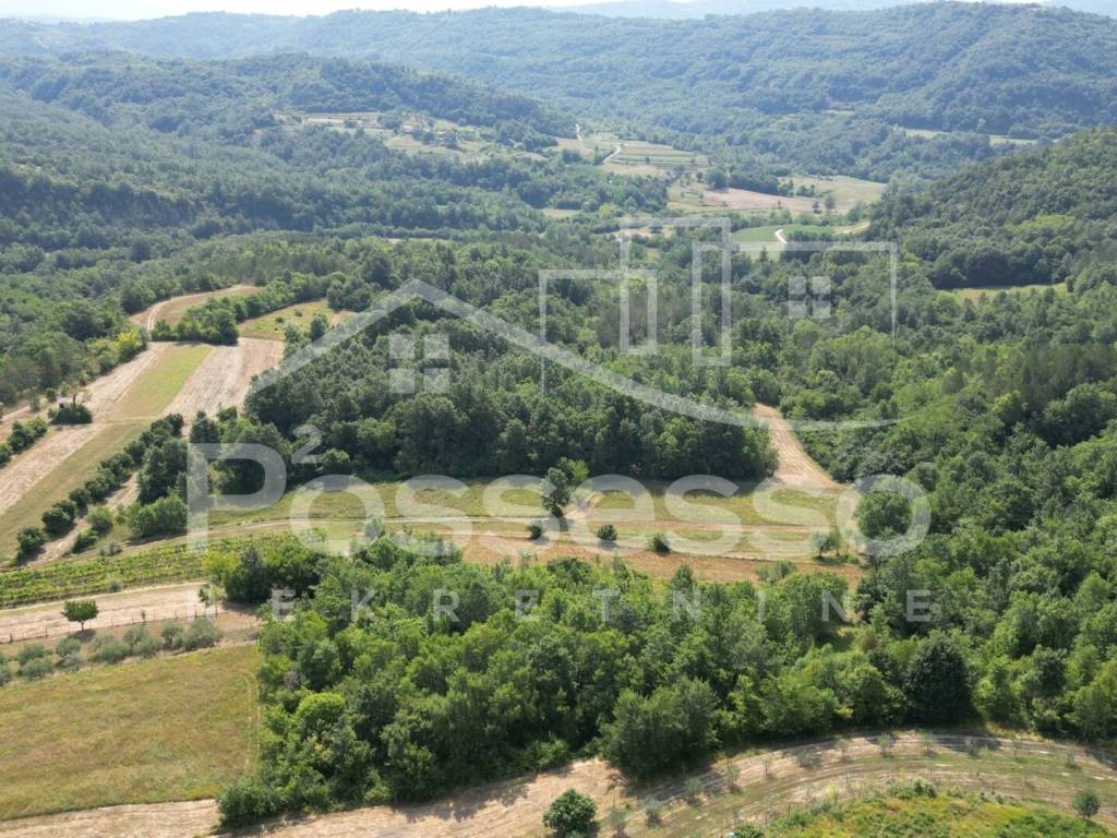Buzet, Vrh