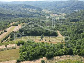 Buzet, Vrh