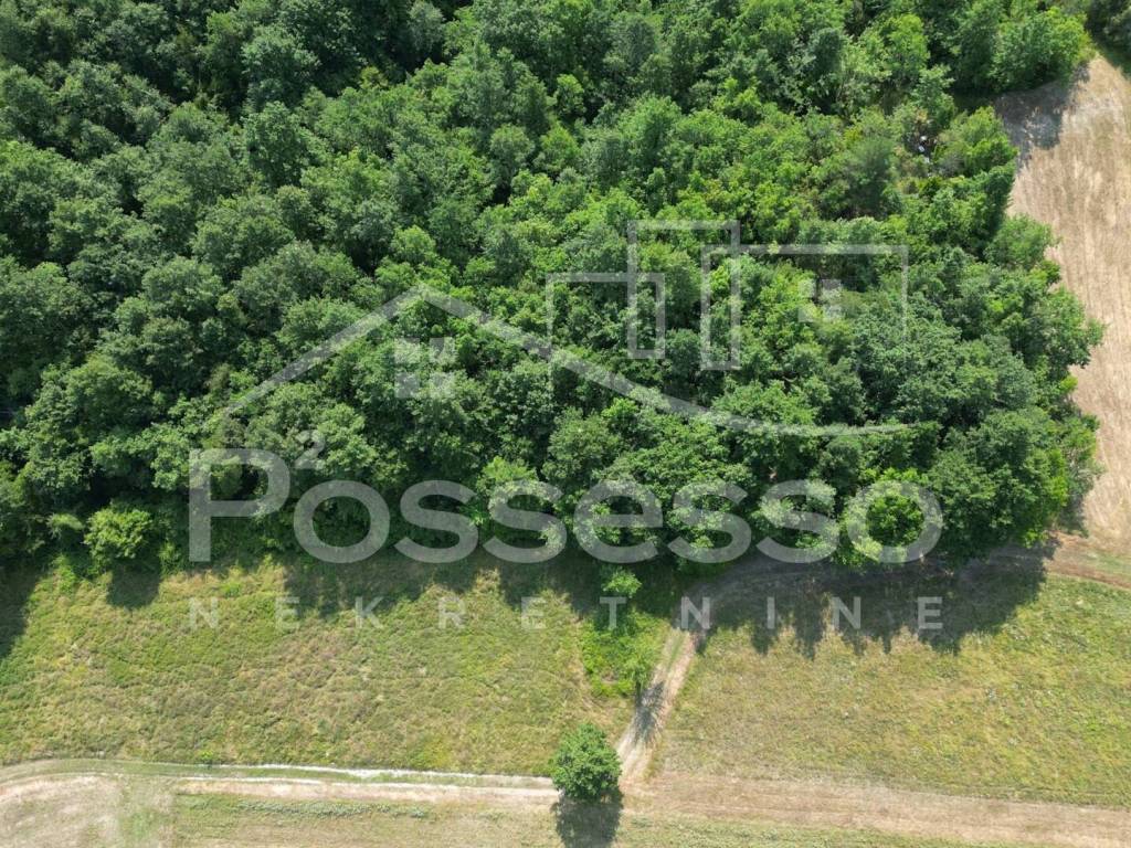 Buzet, Vrh