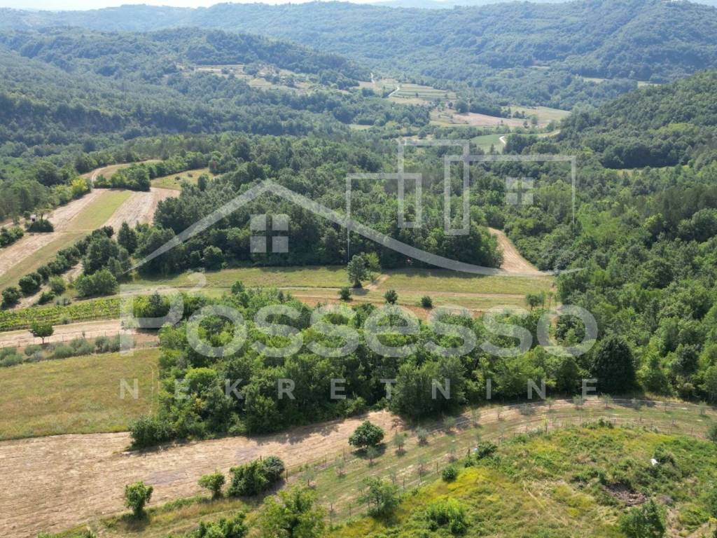Buzet, Vrh