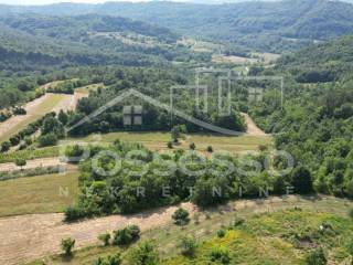 Buzet, Vrh