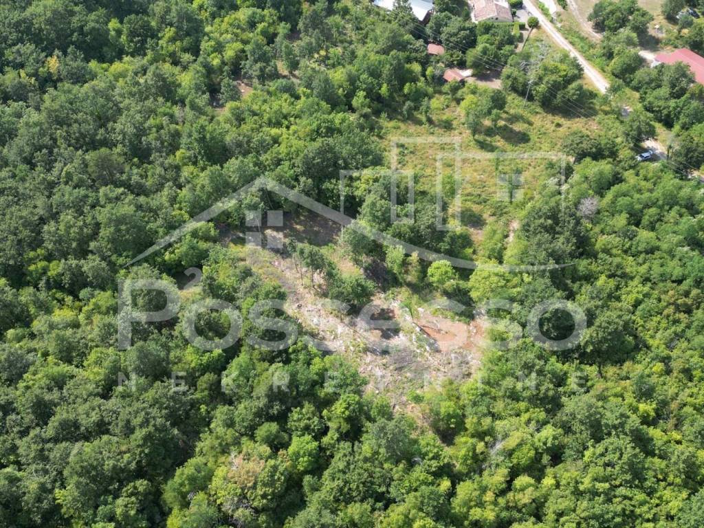Buzet, Roc