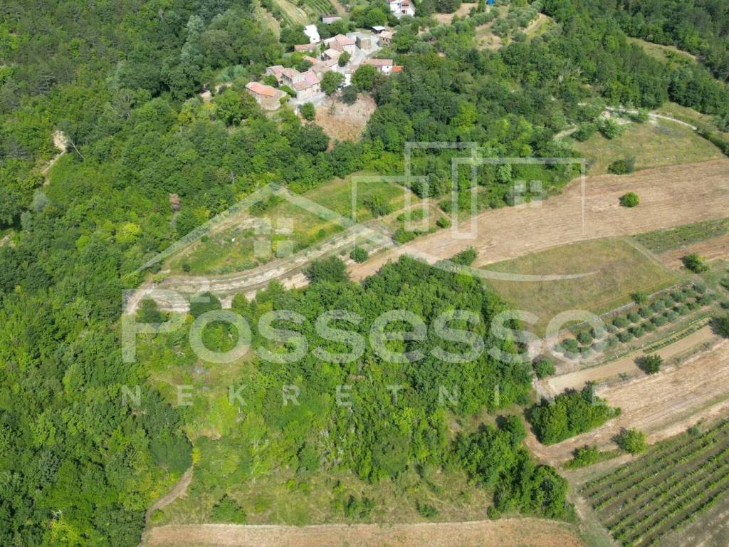 Buzet, Vrh