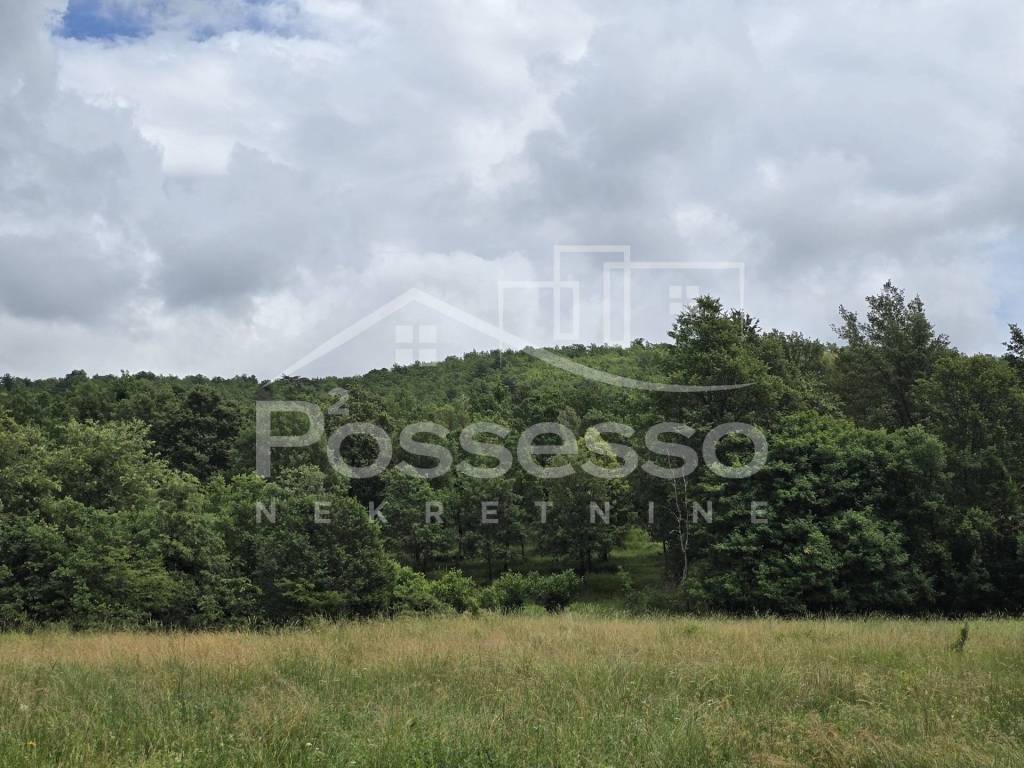 Buzet, Roc