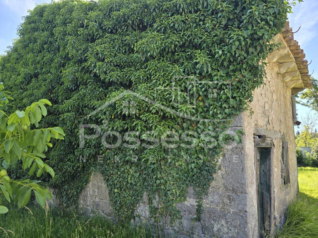 Buzet, Rocko Polje