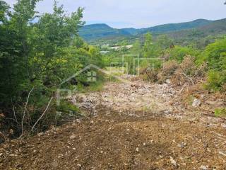 Buzet, Buzet