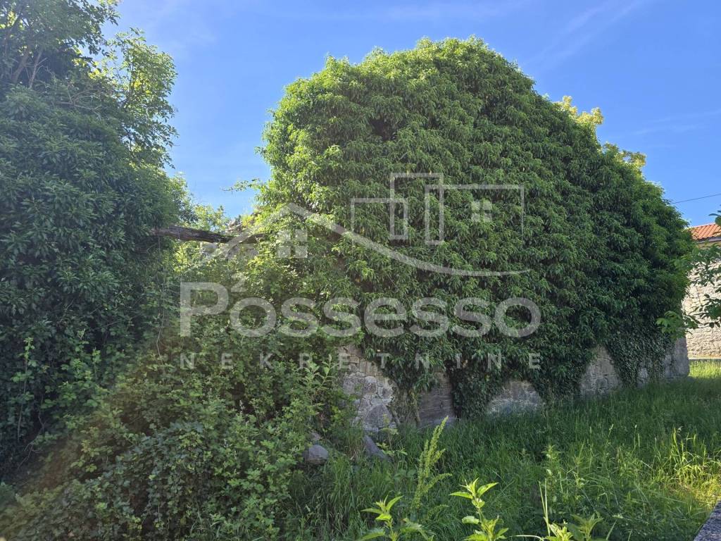 Buzet, Rocko Polje