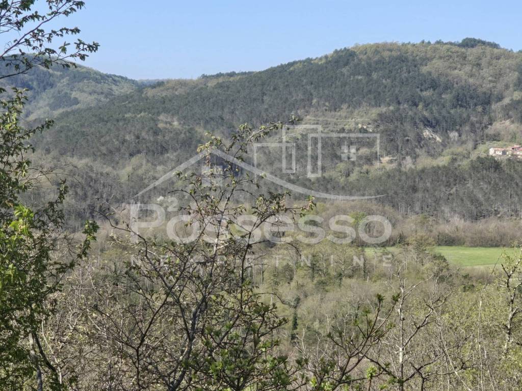 Buzet, Buzet