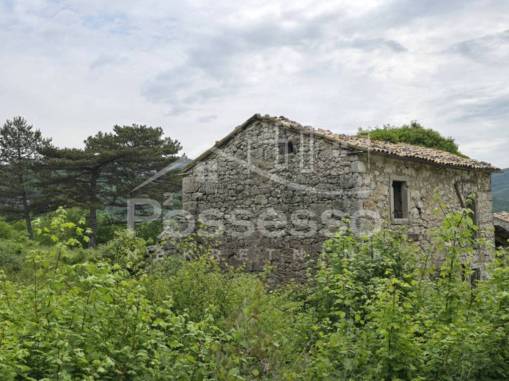 Buzet, Rocko Polje