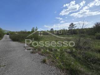 Buzet, Rocko Polje