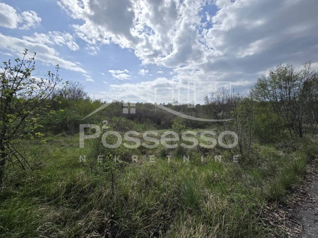 Buzet, Rocko Polje