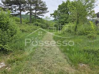 Buzet, Rocko Polje