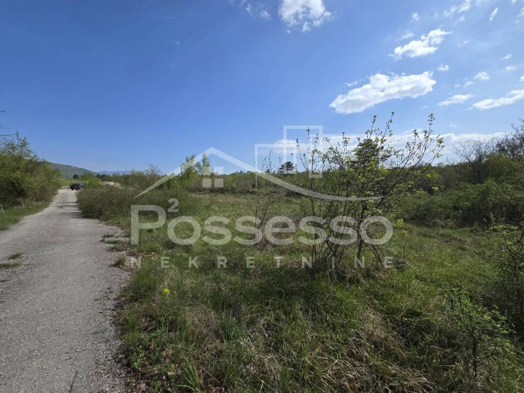Buzet, Rocko Polje