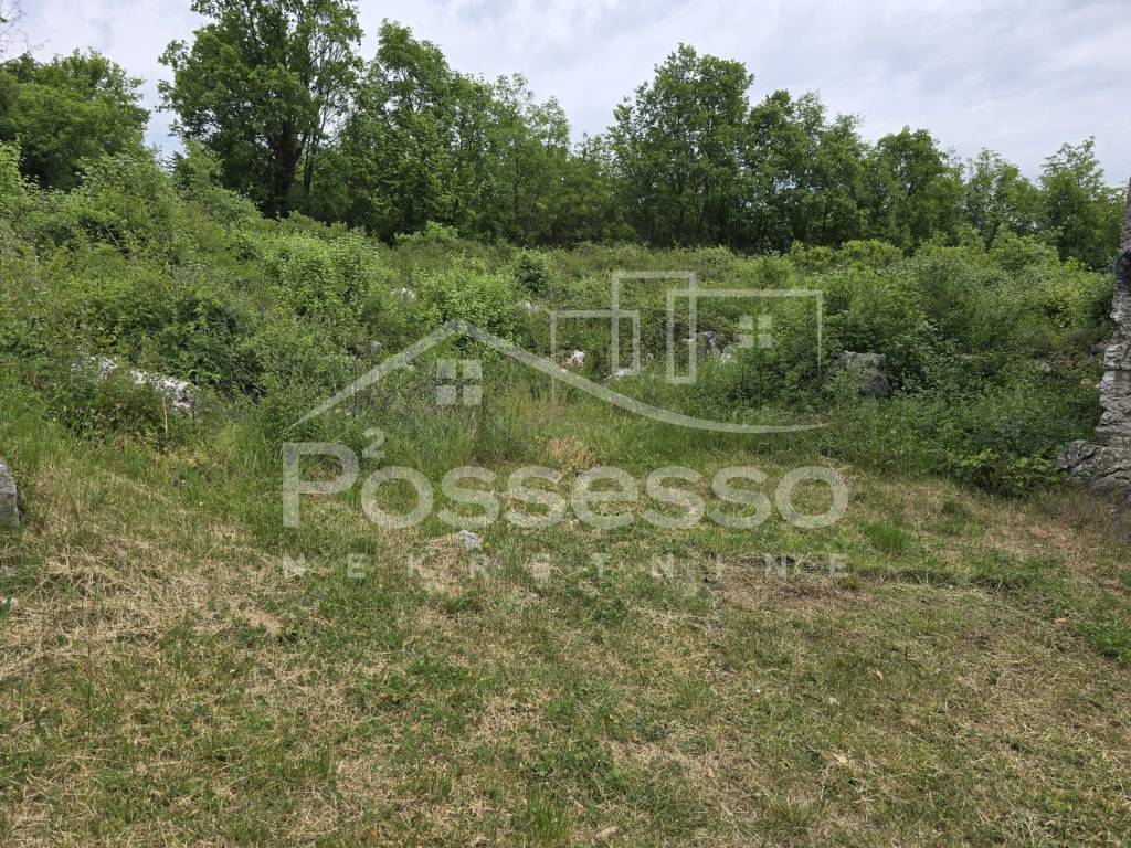 Buzet, Rocko Polje