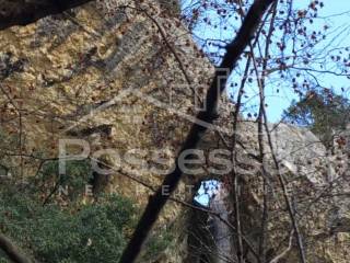 Buzet, Buzet