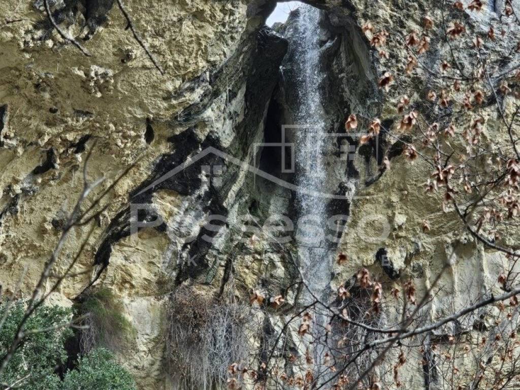 Buzet, Buzet