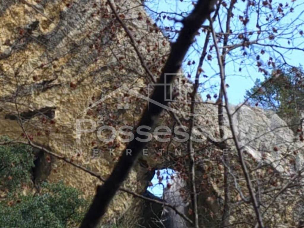 Buzet, Buzet