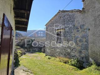 Lanisce, Trstenik