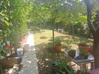 Apartmanska kuca, Prodaja, Starigrad, Seline
