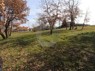 Plot for construction, Sale, Vižinada, Vižinada