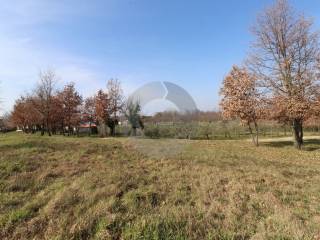 Plot for construction, Sale, Vižinada, Vižinada