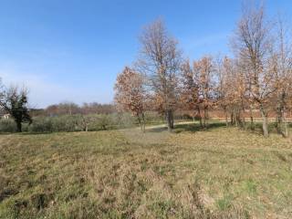 Plot for construction, Sale, Vižinada, Vižinada