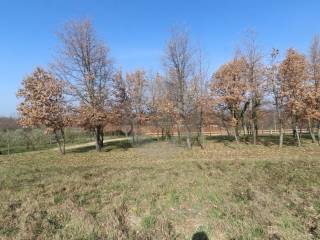 Plot for construction, Sale, Vižinada, Vižinada