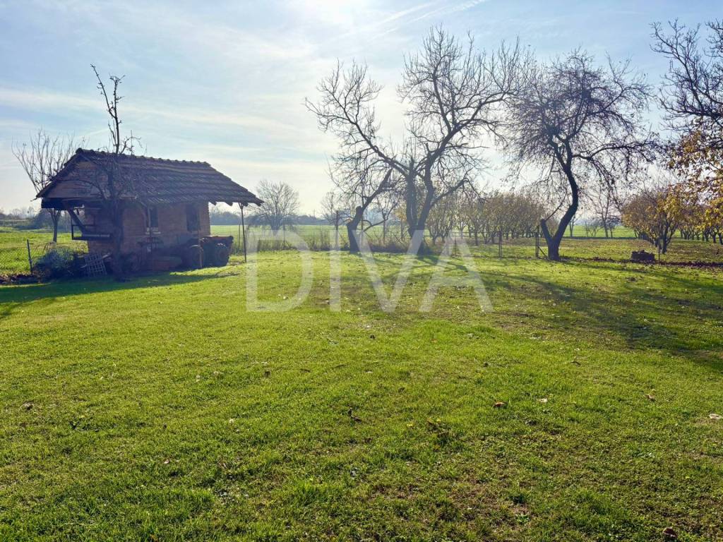 Oprisavci, Struzani