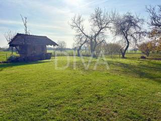 Oprisavci, Struzani