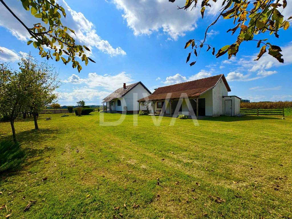 Oprisavci, Prnjavor