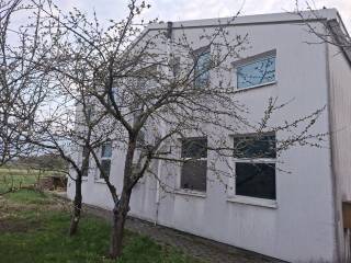 Senkovec, Senkovec