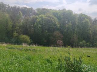 Strigova, Grabrovnik